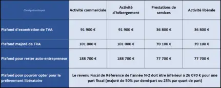 Plafonds Et Seuils De L'Auto-entrepreneur En 2024 - Corrigetonimpot